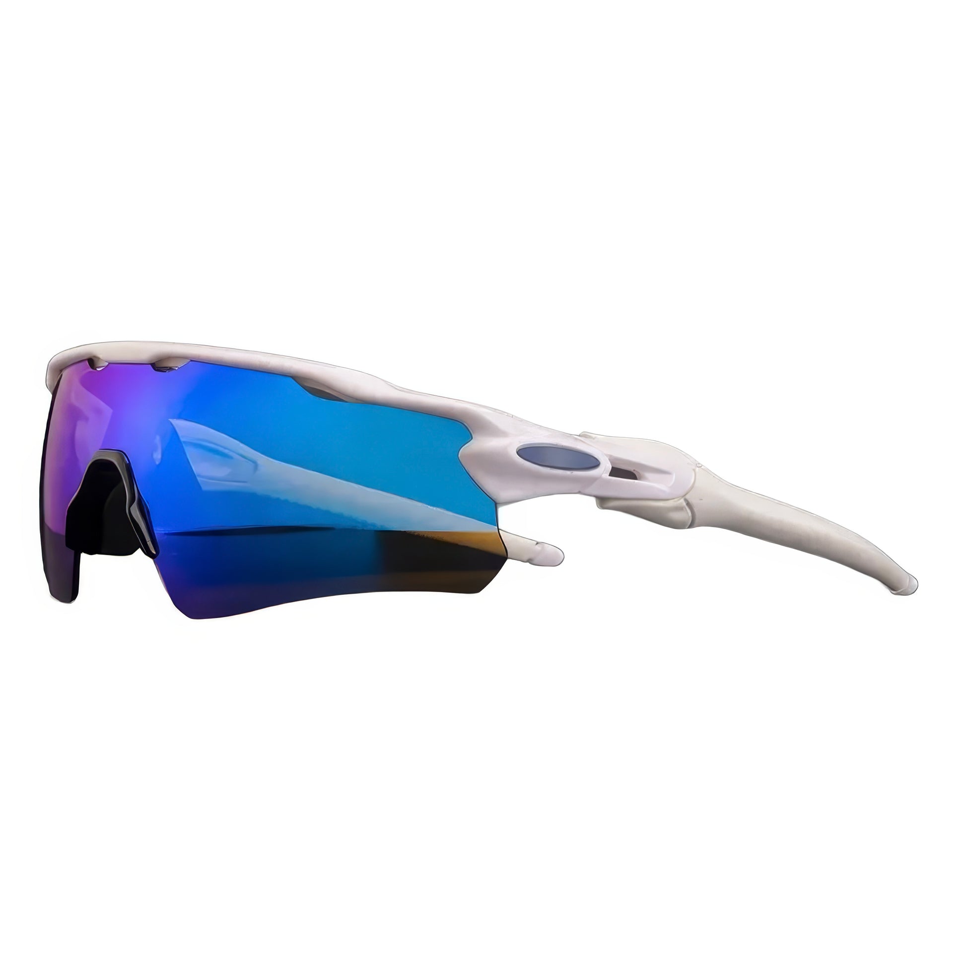 Lunette de soleil SpeedVisor araiparadise