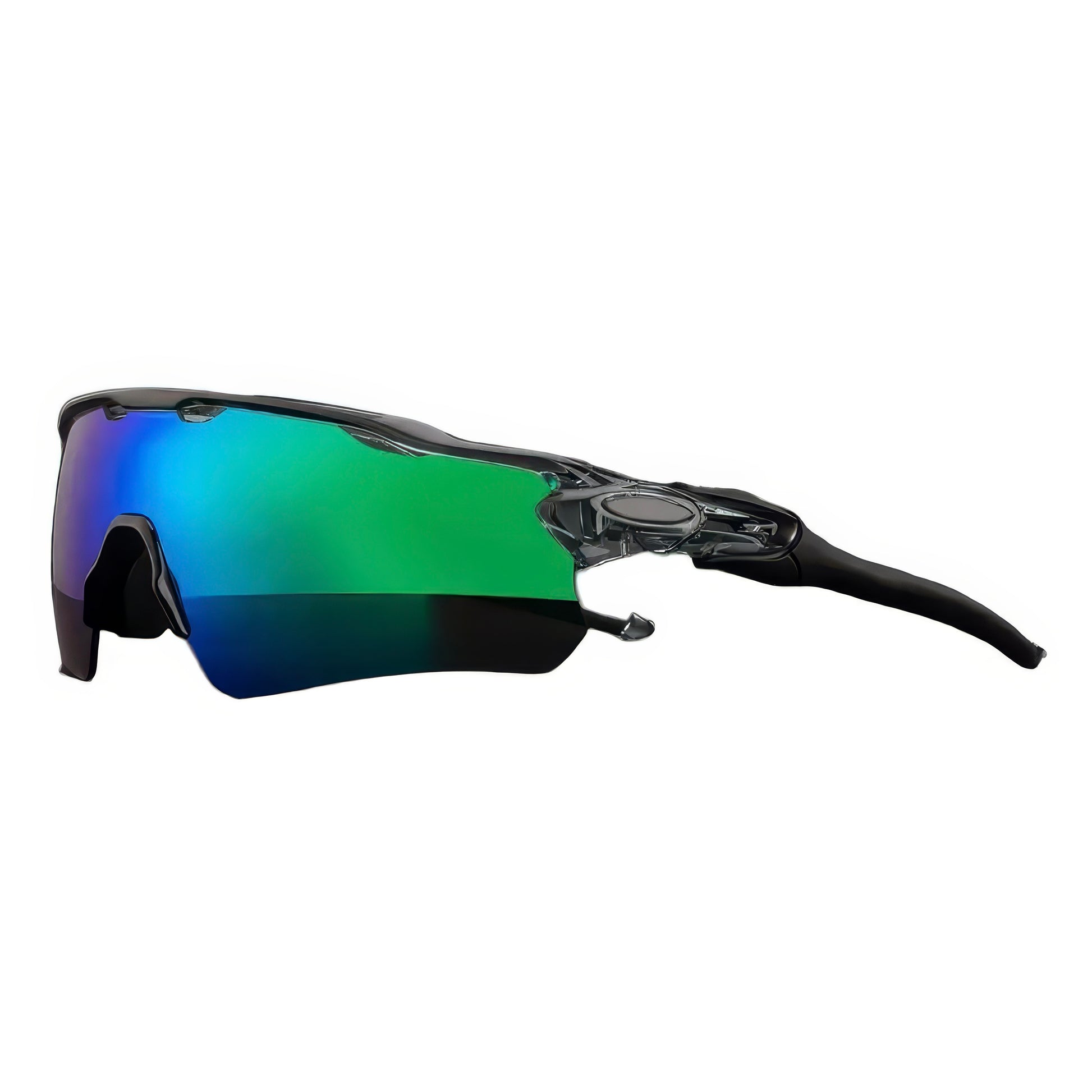 Lunette de soleil SpeedVisor araiparadise